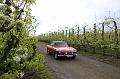 MG Bloesemrit op 24-4-2016 org. Jos&Marie-lou  (54)